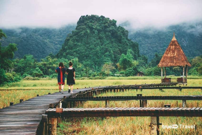 สะพานไม้ชมทุ่งนา วังเวียง ที่เที่ยวลาว