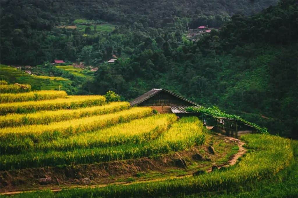 ที่เที่ยวซาปา เวียดนาม