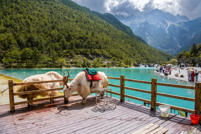 ที่เที่ยวคุนหมิง จีน