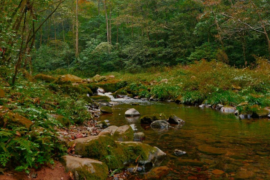 ที่เที่ยวจางเจียเจี้ย จีน