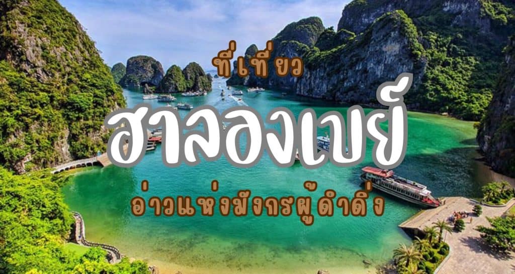ที่เที่ยวฮาลองเบย์ เวียดนาม